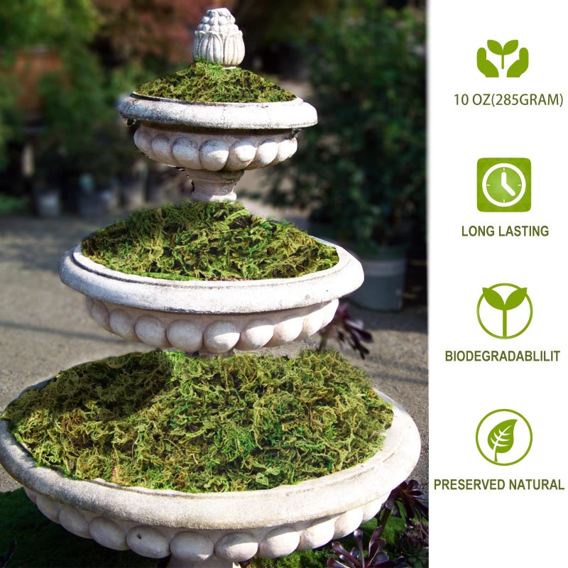 ZYAPA 10OZ Fake Moss Artificial Moss for Potted Plants Greenery MossHome Decor Fairy Garden Crafts Wedding Decoration (Fresh Green) - Image 3